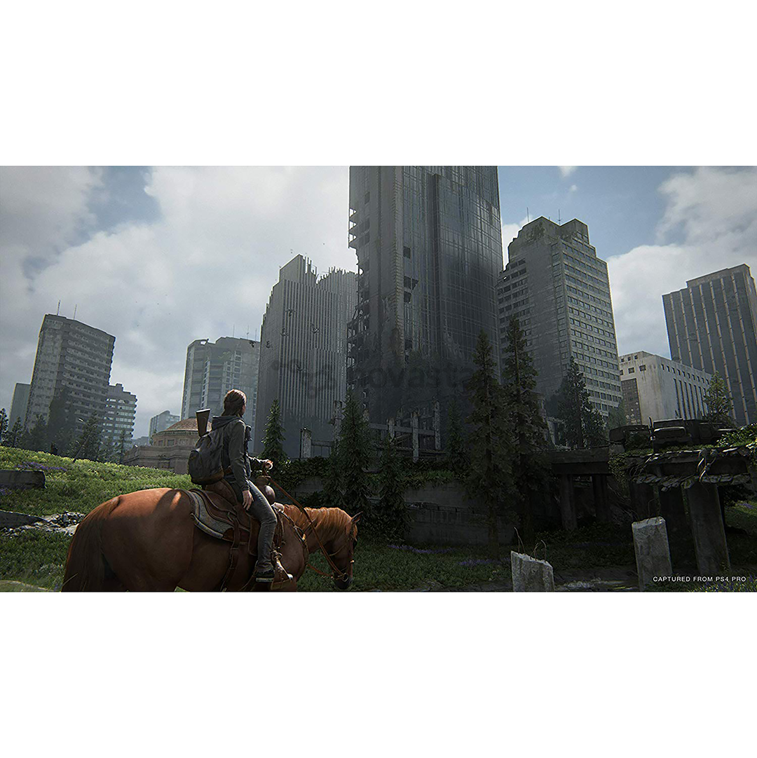 Žaidimas PS4 The Last of Us Part II