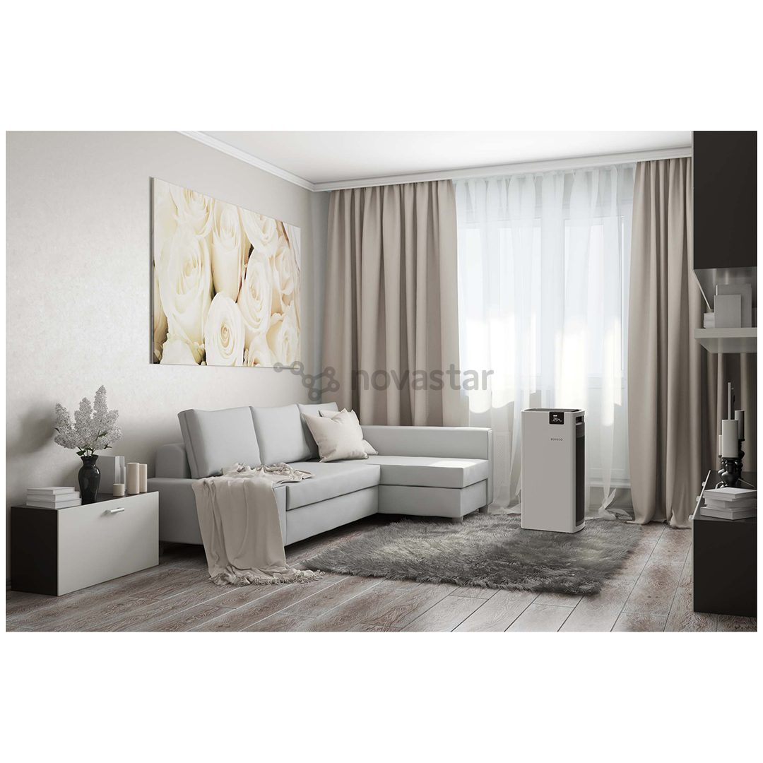 Oro valytuvas Boneco P700