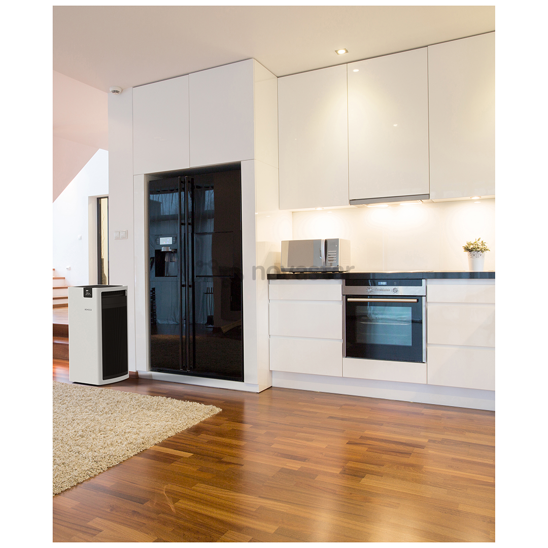Oro valytuvas Boneco P700