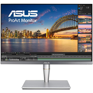 ASUS ProArt PA24AC, 24'', WUXGA, LED IPS, серый - Монитор