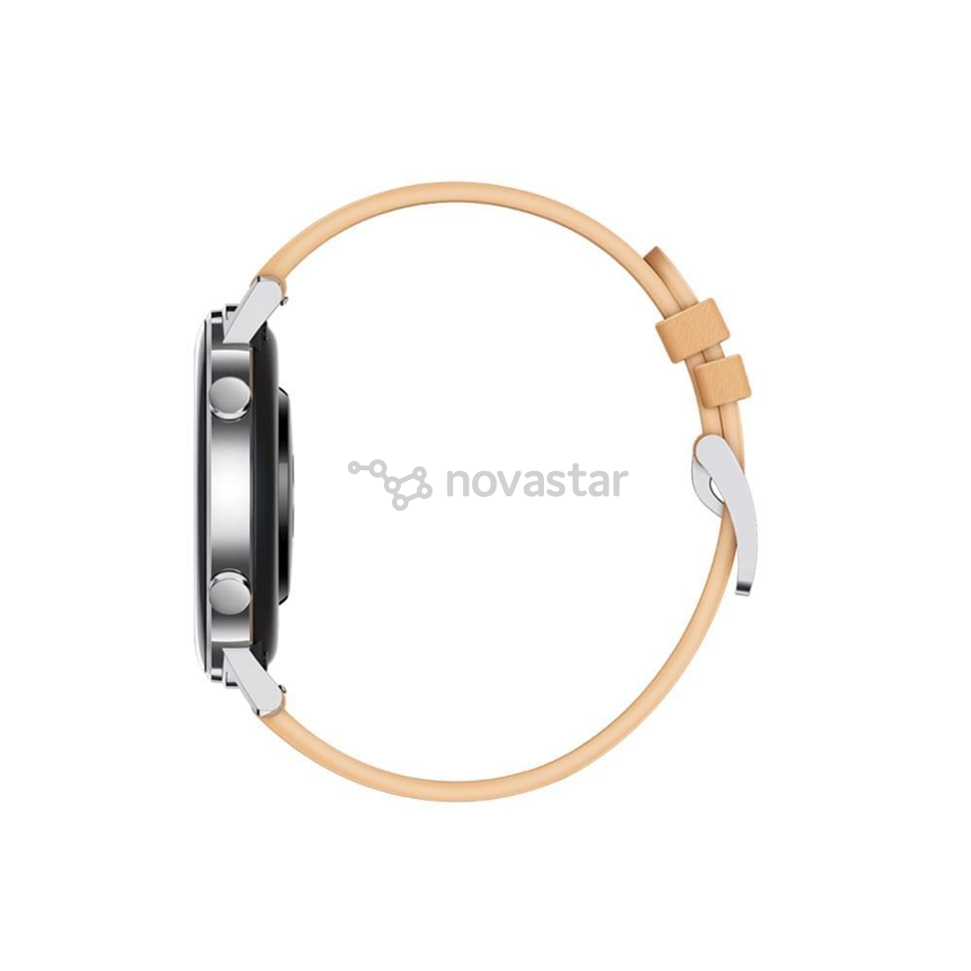 Išmanusis laikrodis Huawei Watch GT 2, Silver/Khaki