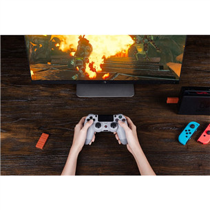 Priedas 8BitDo USB Wireless Nintendo Switch