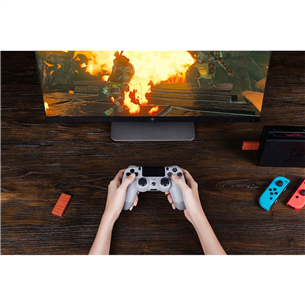 Priedas 8BitDo USB Wireless Nintendo Switch