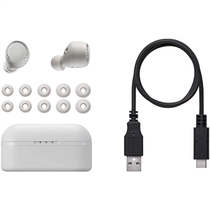 Ausinės Panasonic RZ-S500WE-W, belaidės, Baltos