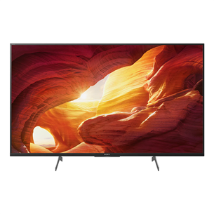Televizorius Sony KD49XH8596BAEP