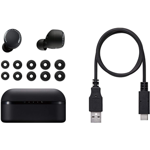 Ausinės Panasonic RZ-S500WE-K, Belaidės, Juodos