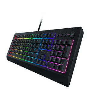 Razer Cynosa V2, SWE, черный - Клавиатура