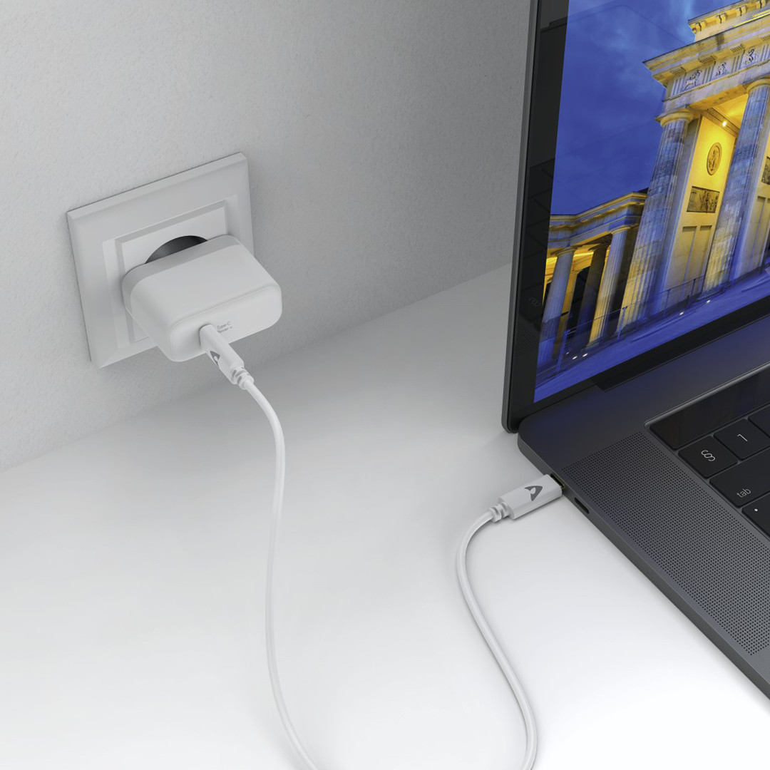 Laidas Avinity USB C 3,1 Gen2 > USB C plug 5A, 1m