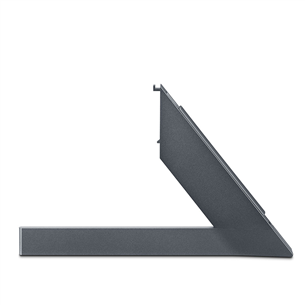 Laikiklis LG GX OLED 65''