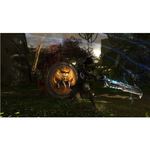 Žaidimas Xbox One Kingdoms of Amalur: Re-Reckoning