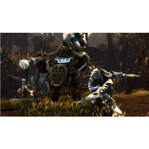 Žaidimas Xbox One Kingdoms of Amalur: Re-Reckoning