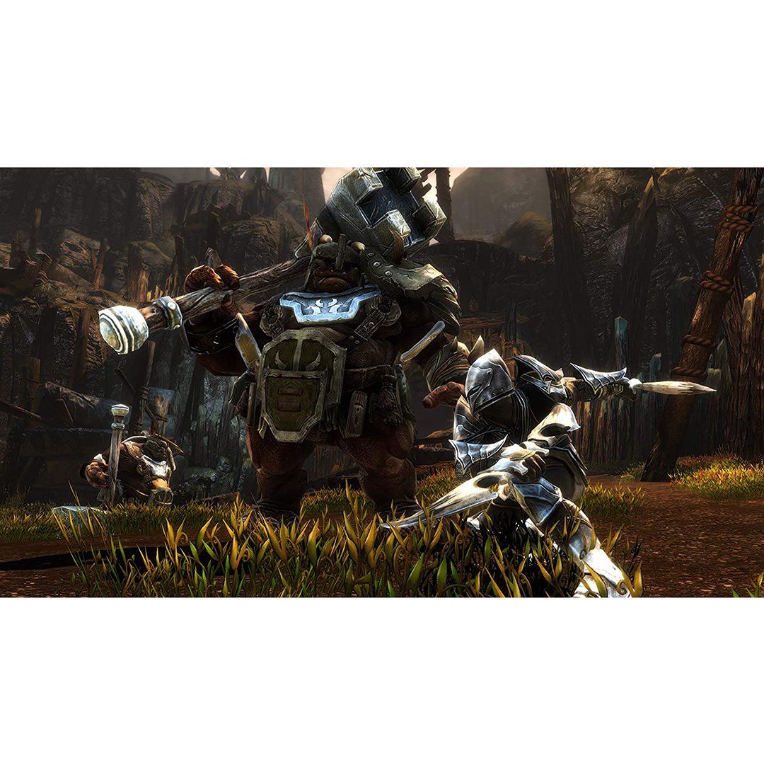 Žaidimas Xbox One Kingdoms of Amalur: Re-Reckoning