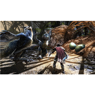 Žaidimas Xbox One Kingdoms of Amalur: Re-Reckoning
