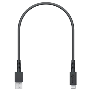 Žaidimas Nintendo Switch Mario Kart Live Home Circuit Mario