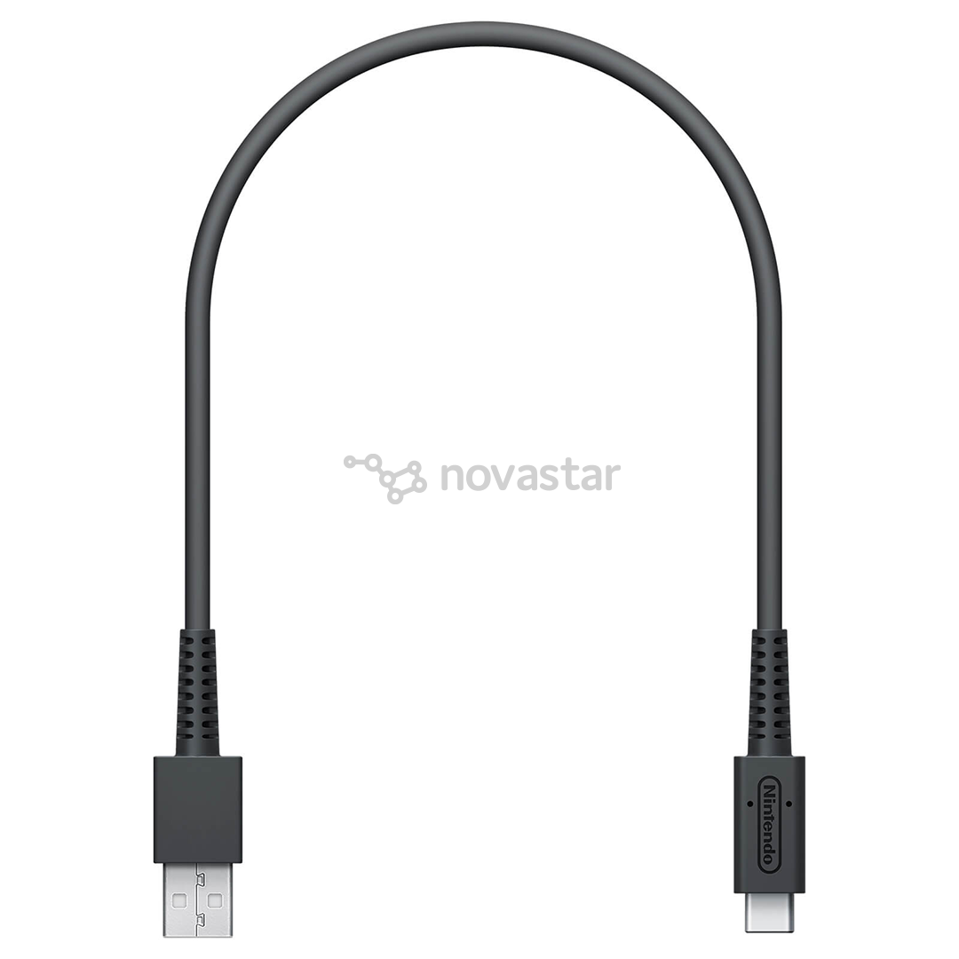 Žaidimas Nintendo Switch Mario Kart Live Home Circuit Mario