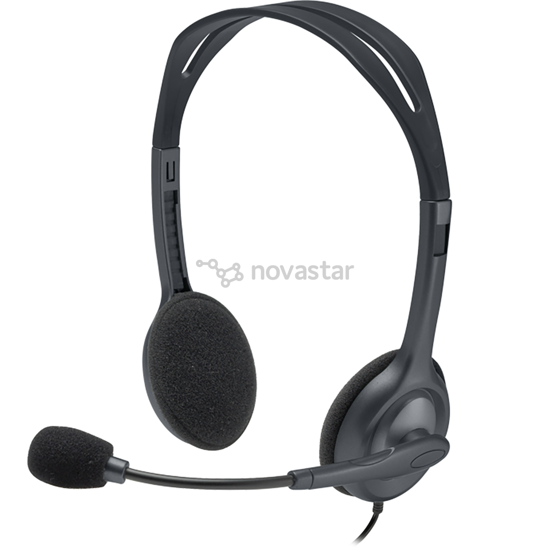 Ausinės Logitech H111