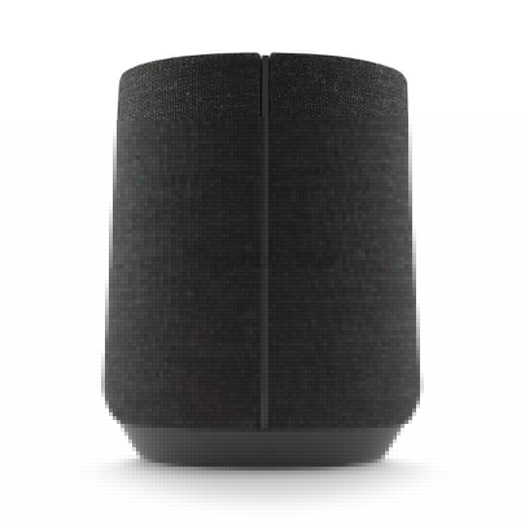 Harman Kardon Citation 300, черный - Беспроводная домашняя колонка