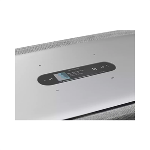 Belaidė kolonėlė Harman/Kardon Citation 500, Pilka