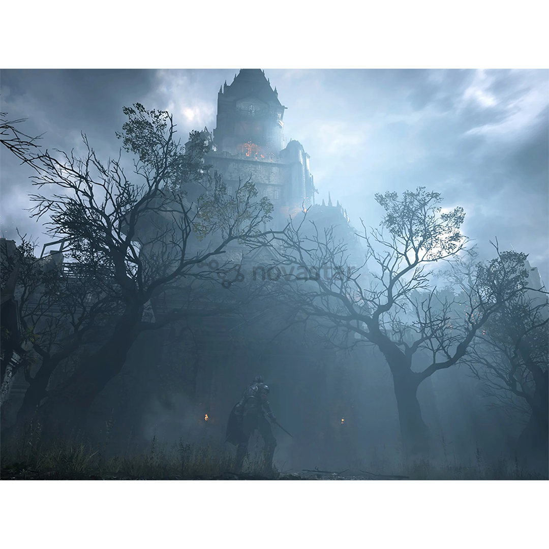 Žaidimas PS5 Demon's Souls
