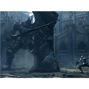 Žaidimas PS5 Demon's Souls