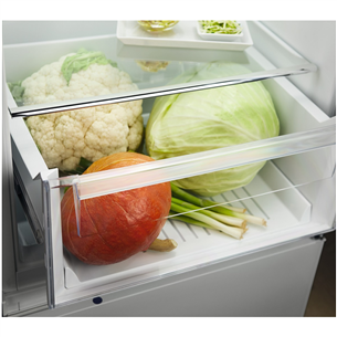 Šaldytuvas Electrolux LRS2DF39W