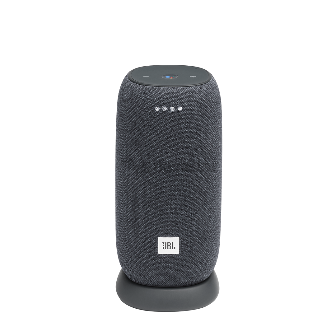 Belaidė kolonėlė JBL Link Portable, Pilka