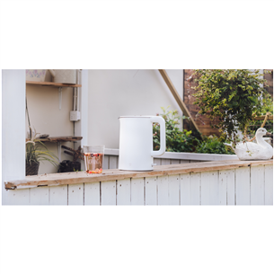 Virdulys Xiaomi Mi SKV4035GL