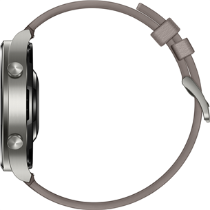Išmanusis laikrodis Huawei Watch GT 2 Pro Titanium, Gray
