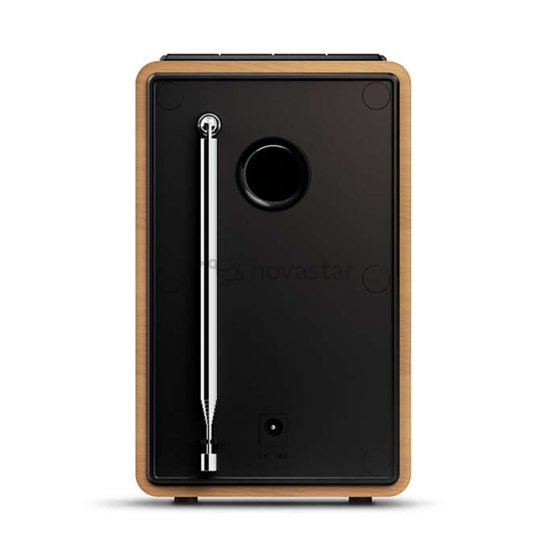 Philips, FM/DAB+, minimalist, rudas - Radijas