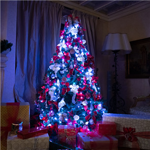 Twinkly 100 RGB LED String (Gen II), IP44, 8 m, black - Smart Christmas Lights