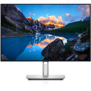 Dell UltraSharp U2421E, 24'', WUXGA, LED IPS, USB-C, серый - Монитор