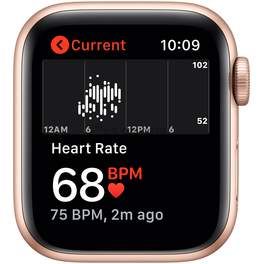 Išmanusis laikrodis Apple Watch SE, 44mm, LTE, gold/purple
