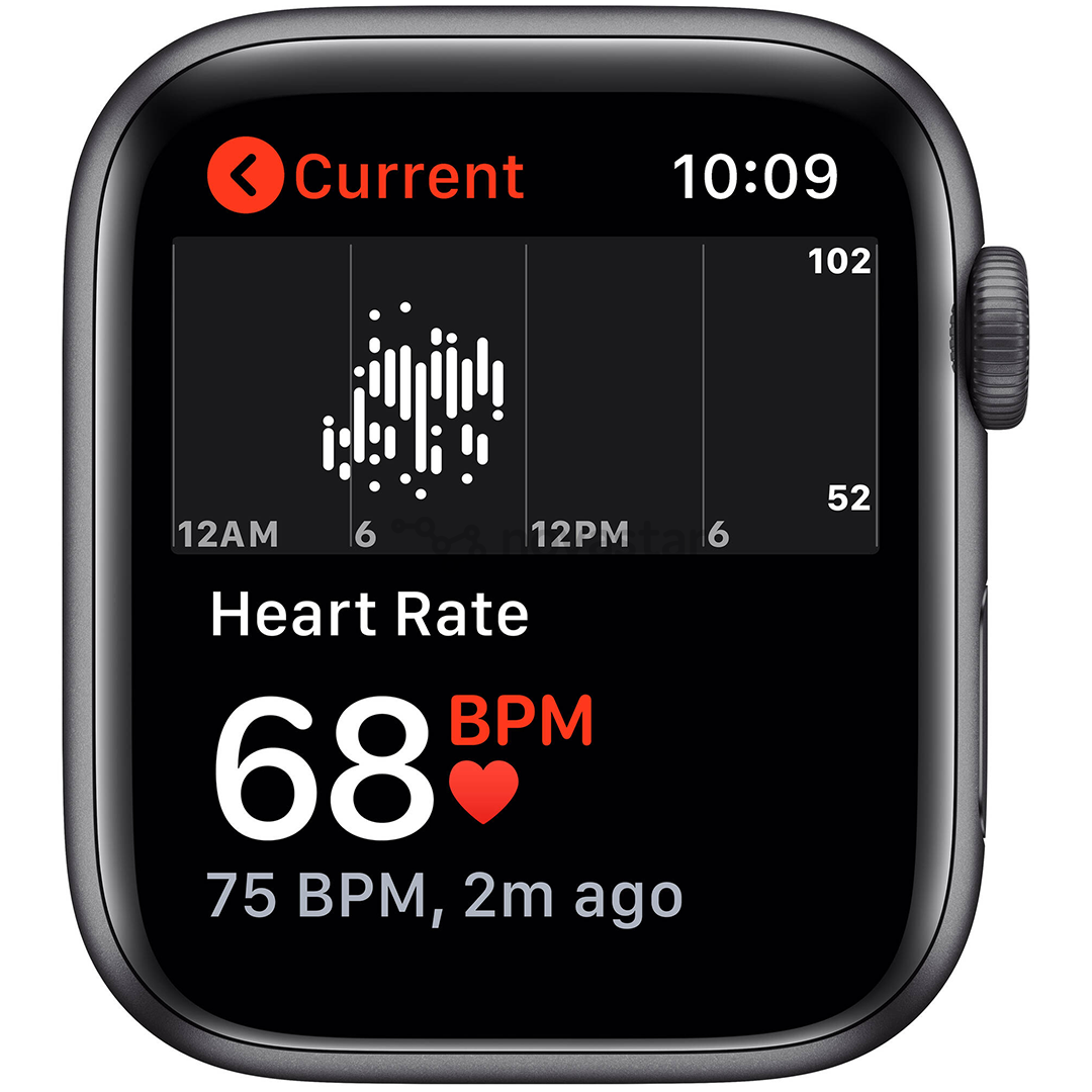 Išmanusis laikrodis Apple Watch SE, 44mm, LTE, space gray/charcoal