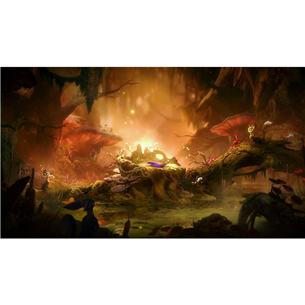Žaidimas Switch Ori and the Will of the Wisps