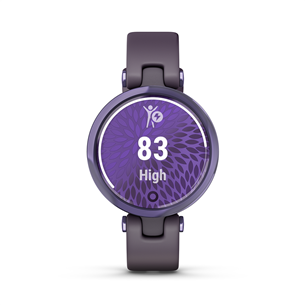 Smartwatch Garmin Lily