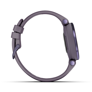 Smartwatch Garmin Lily