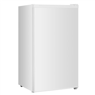 Šaldytuvas Hisense RR120D4BW1