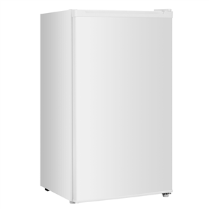 Šaldytuvas Hisense RR120D4BW1