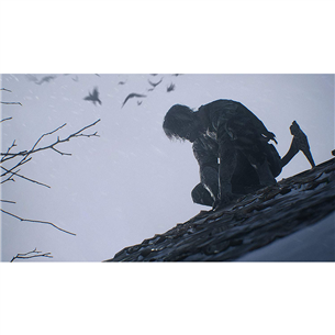 Žaidimas Xbox One / Series X/S Resident Evil VIII: Village
