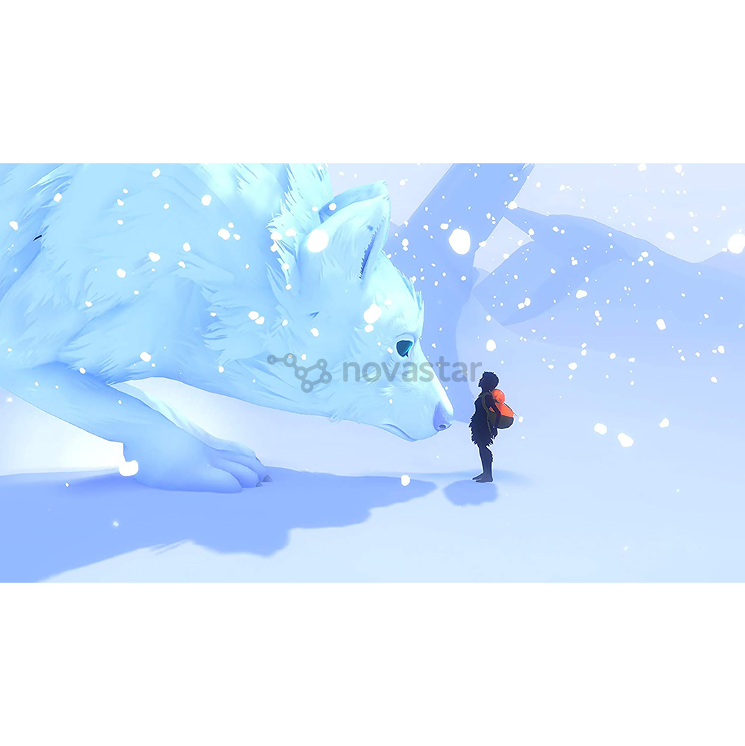 Žaidimas Nintendo Switch Sea of Solitude: The Director’s Cut