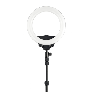 Priedas WISTREAM Halo 200 Ring Light