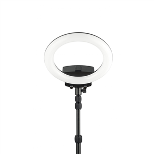 Priedas WISTREAM Halo 200 Ring Light