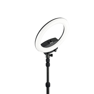 Priedas WISTREAM Halo 200 Ring Light