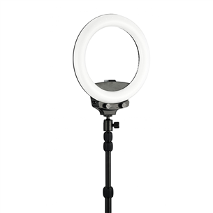 Priedas WISTREAM Halo 200 Ring Light