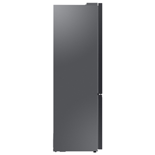 Šaldytuvas Samsung RB38A6B2F12/EF