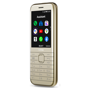 Nokia 8000 4G DS, Gold, 32GB