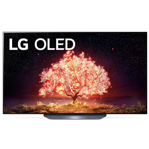 Televizorius LG OLED55B13LA.AEU