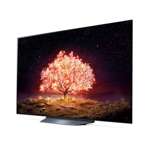 Televizorius LG OLED55B13LA.AEU