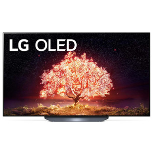 Televizorius LG OLED65B13LA.AEU