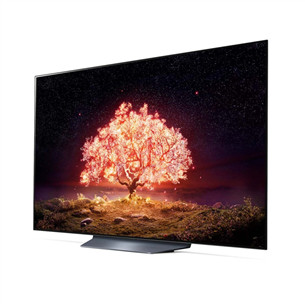 Televizorius LG OLED65B13LA.AEU